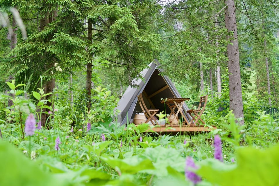 Bed, Natural landscape, Dining area