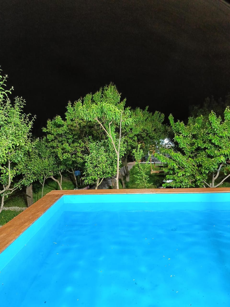 Night, Garden, Garden view, Pool view, Swimming pool