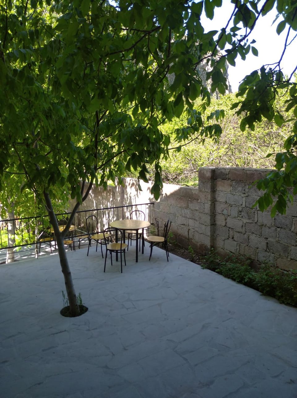 Day, Natural landscape, Dining area, Garden view