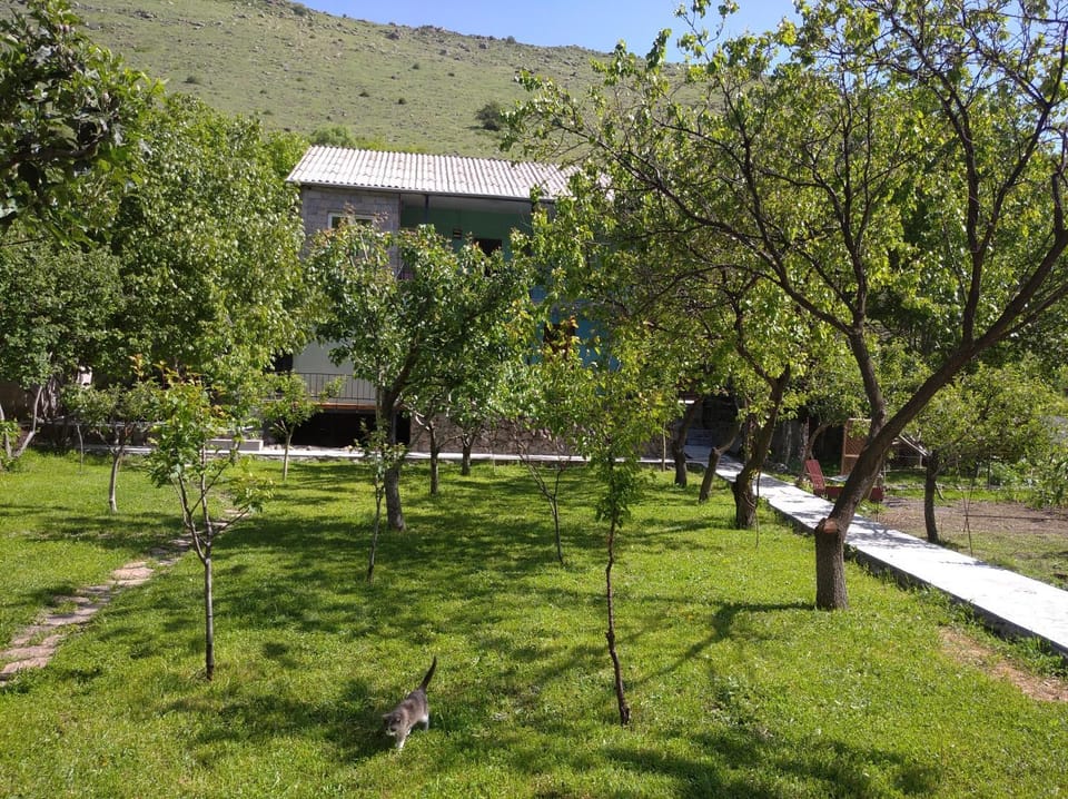 Day, Natural landscape, Garden, Garden view