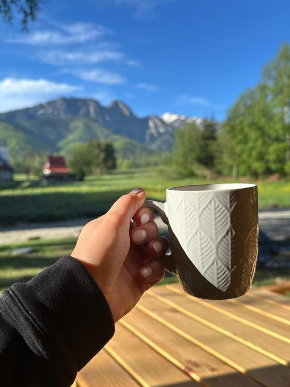 Miło Zakopane Chalet in Zakopane