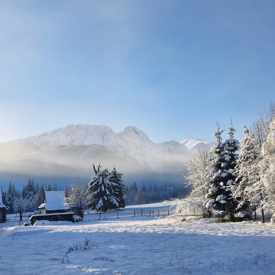 Miło Zakopane Chalet in Zakopane