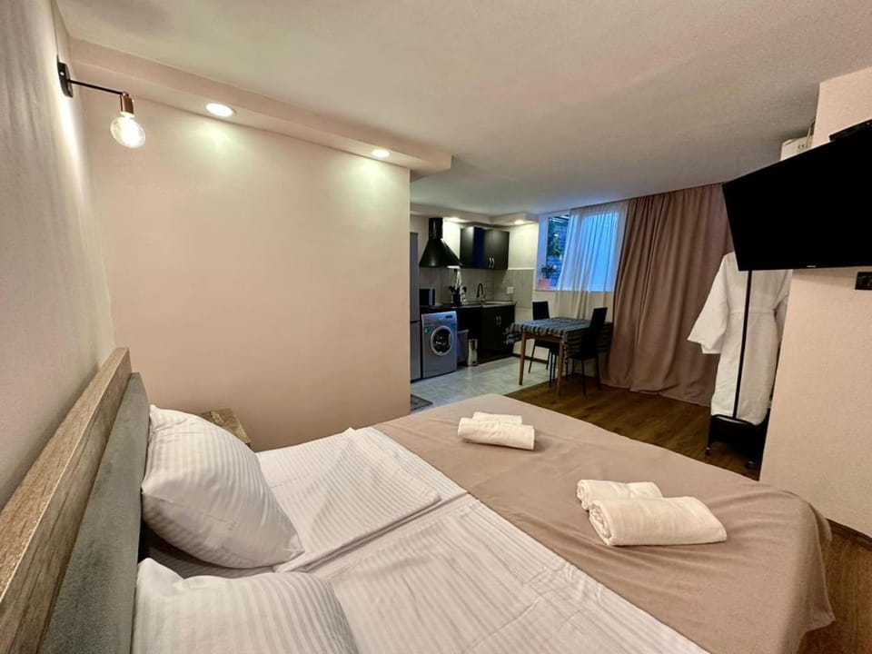 Bed, TV and multimedia, Kitchen or kitchenette, Living room, Seating area, Bedroom, towels, air conditioner
