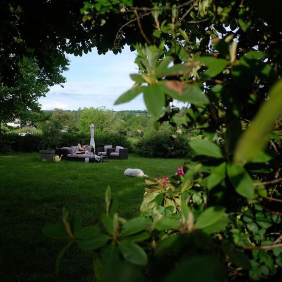 Garden, Garden, Garden view, Garden view