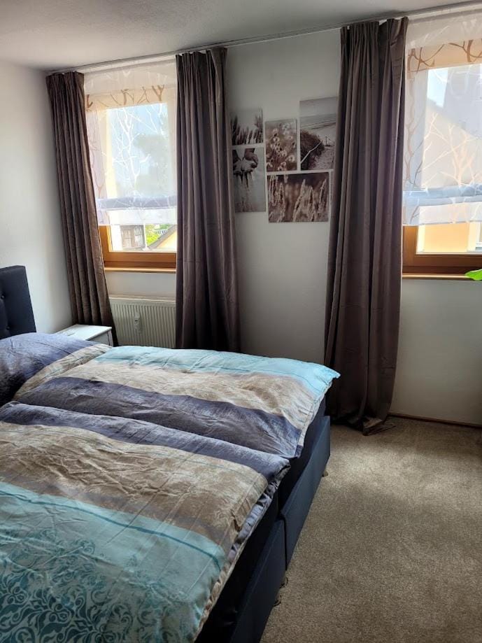 75qm Apartment Apartment in Saxony