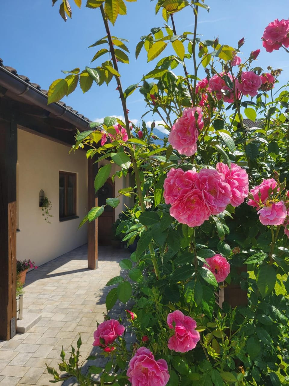 Ferienhaus Saalachau House in Bad Reichenhall