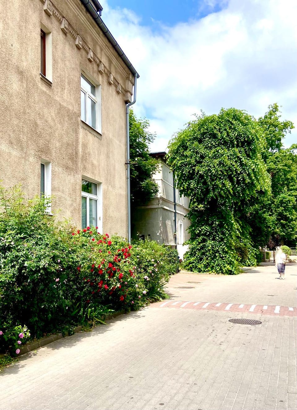 Property building, Day, Garden, Garden, Garden view