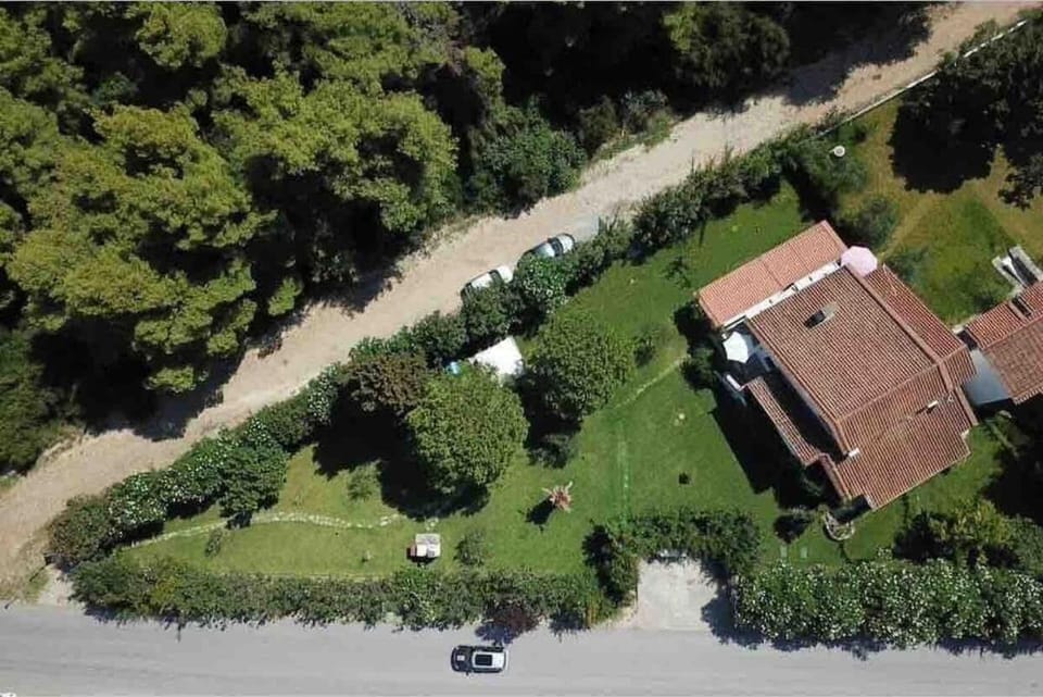 Bird's eye view, Garden