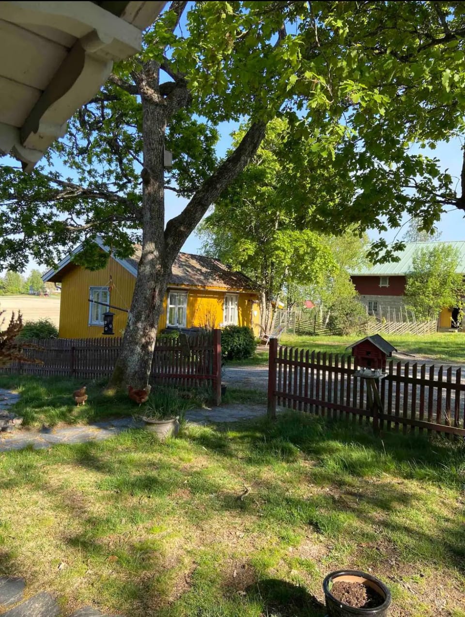 Property building, Natural landscape, Garden