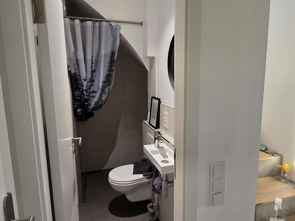 Bathroom, Living room