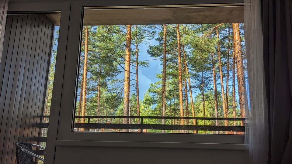 Pine forest house 5 Apartment in Latvia