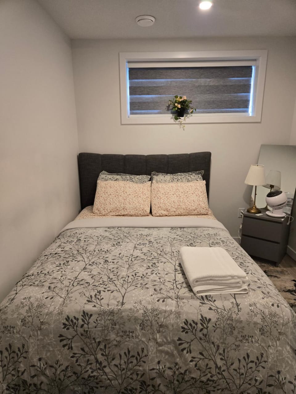 Parkside Basement Suite Apartment in Edmonton
