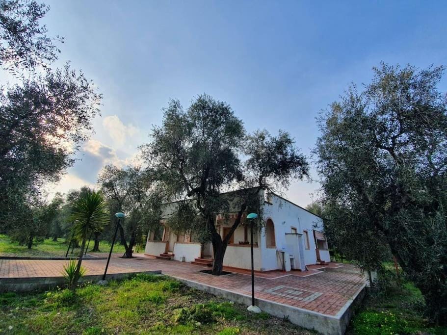 Property building, Garden view