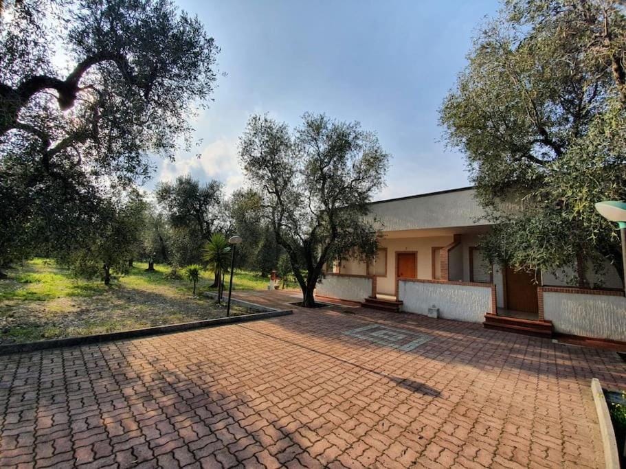 Property building, Garden view