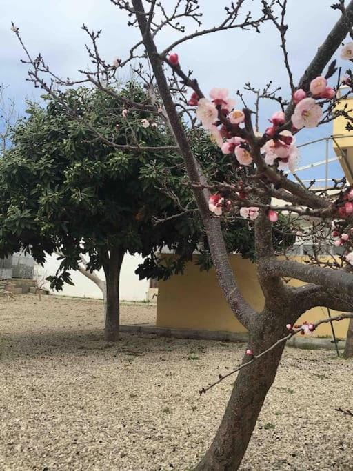 Casita House in Torre Lapillo