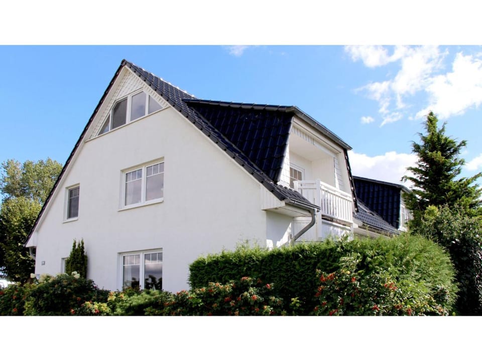 Property building, Summer