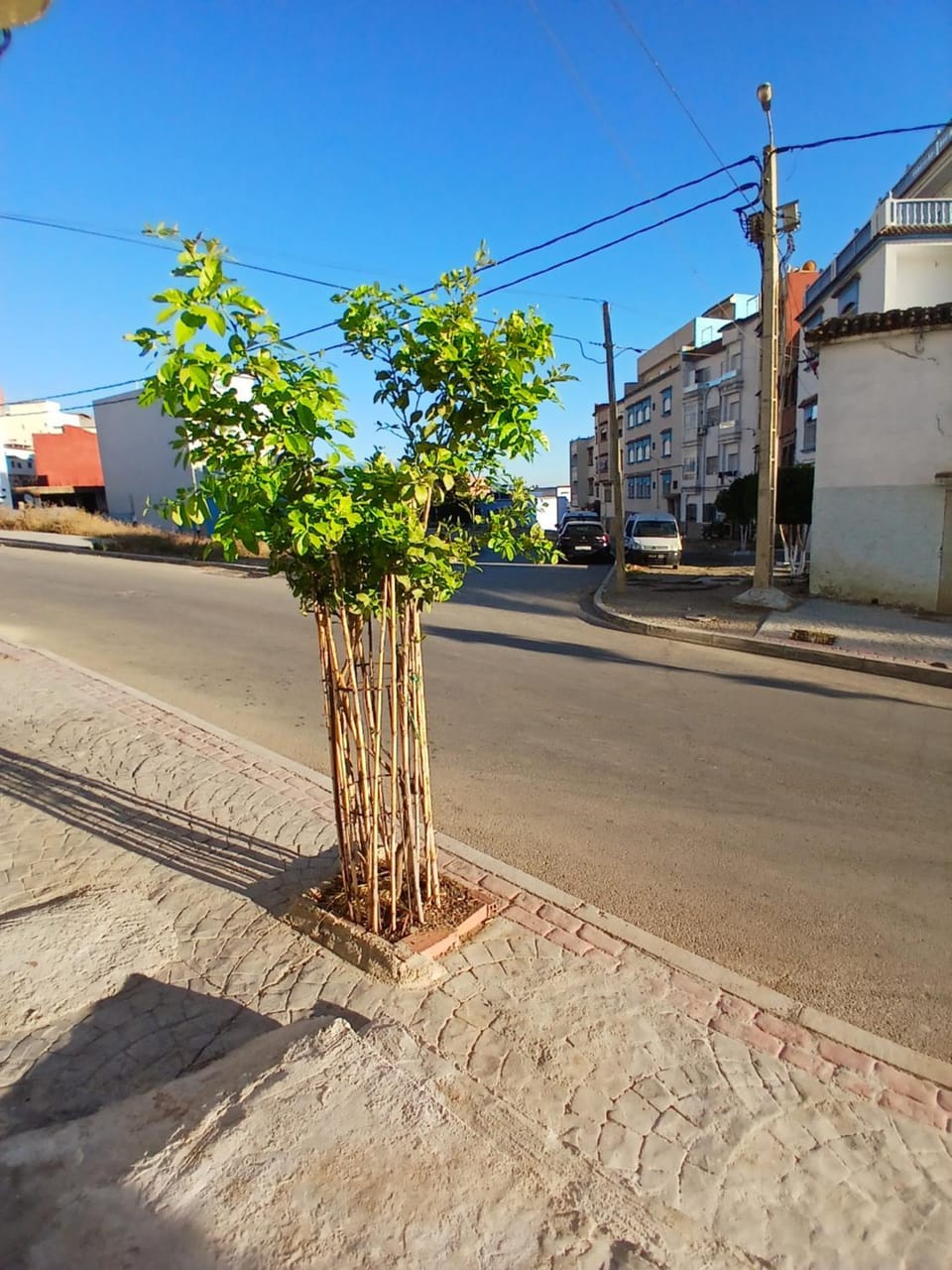 Street view, Location