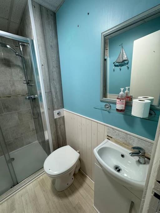 Seabird at Trearddur Bay House in Trearddur Bay