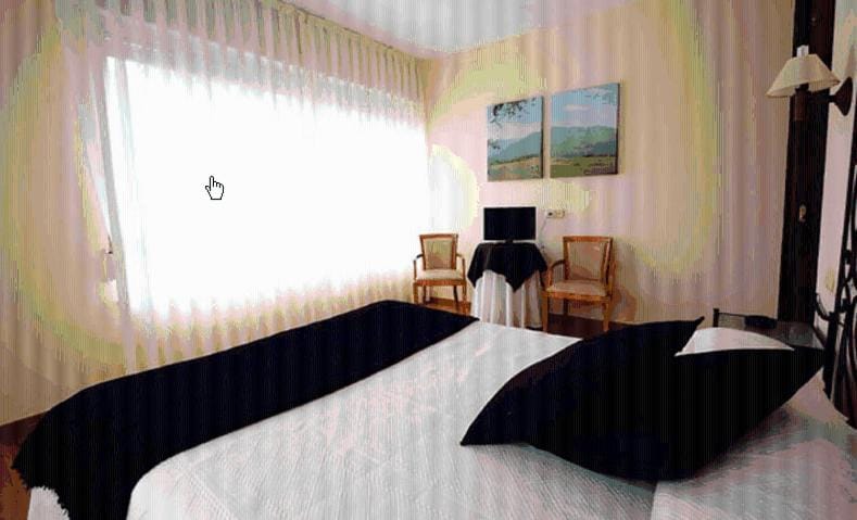 Photo of the whole room