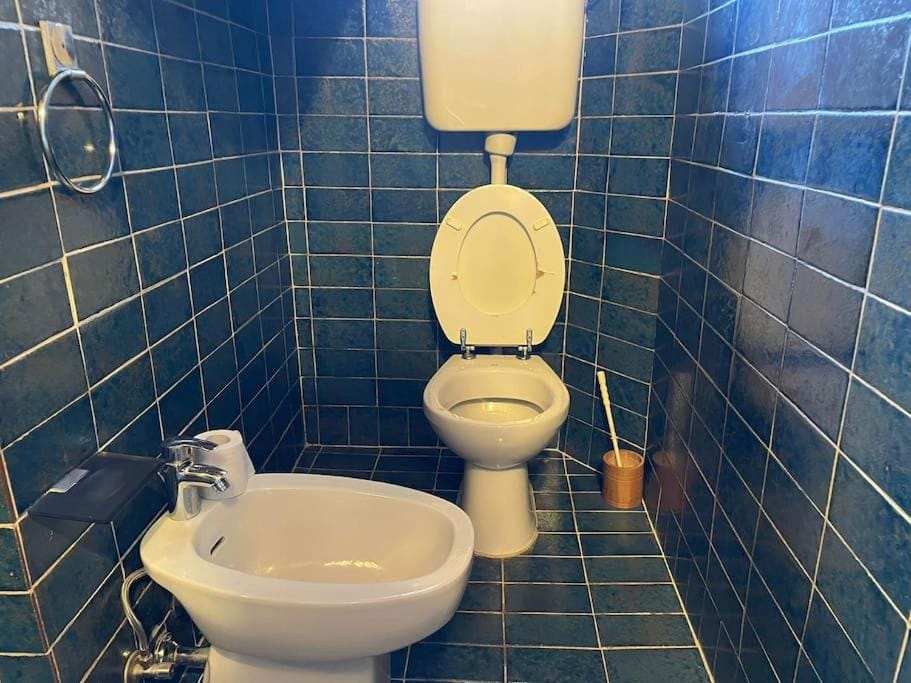 5 bedrooms central apartment Apartment in Ljubljana