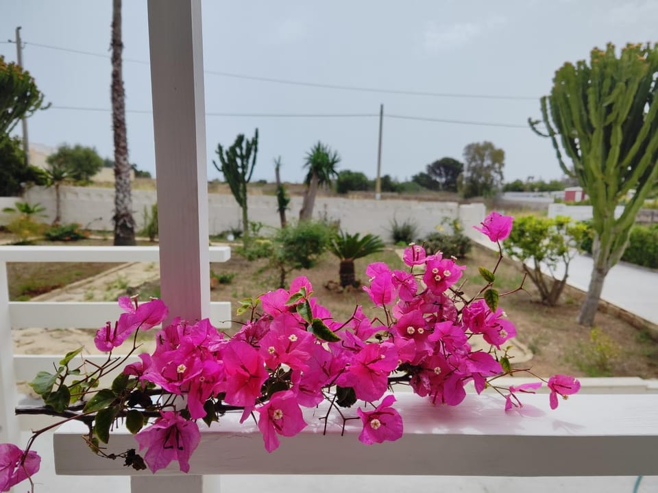Sicilia Noto San Lorenzo Villa Amaranto Apartment in Sicily