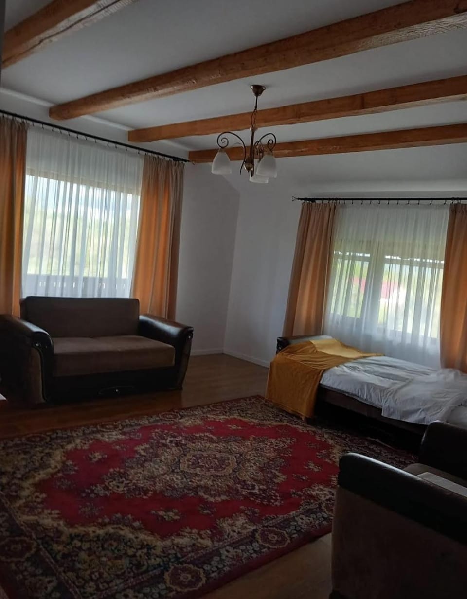 La Radacini Vacation rental in Romania