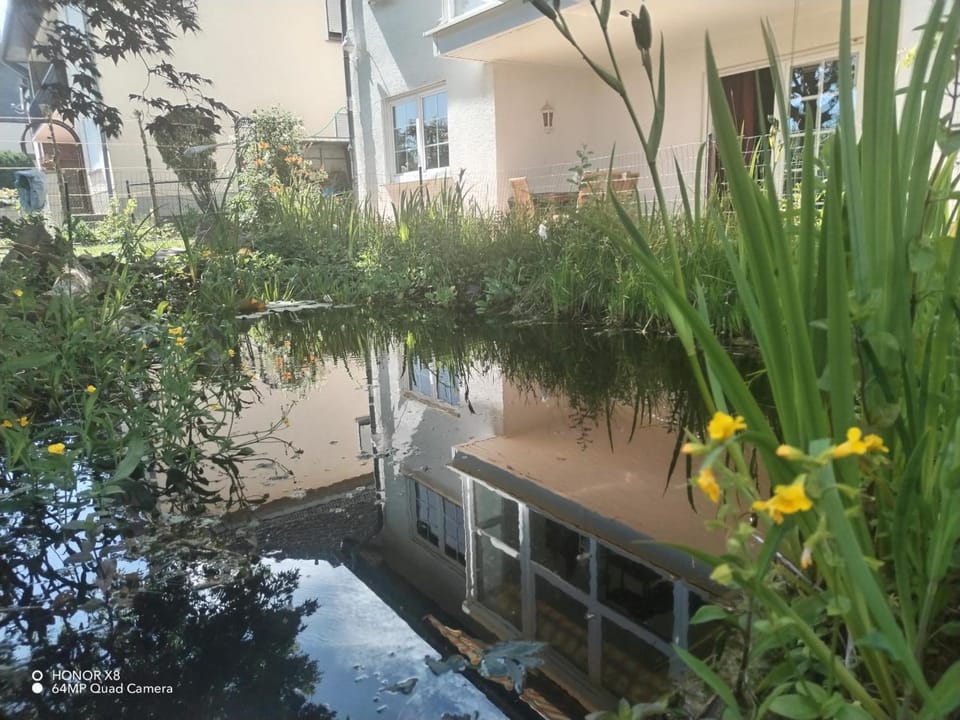 Garden, Garden view