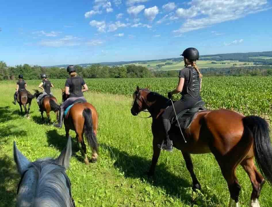 Horse-riding