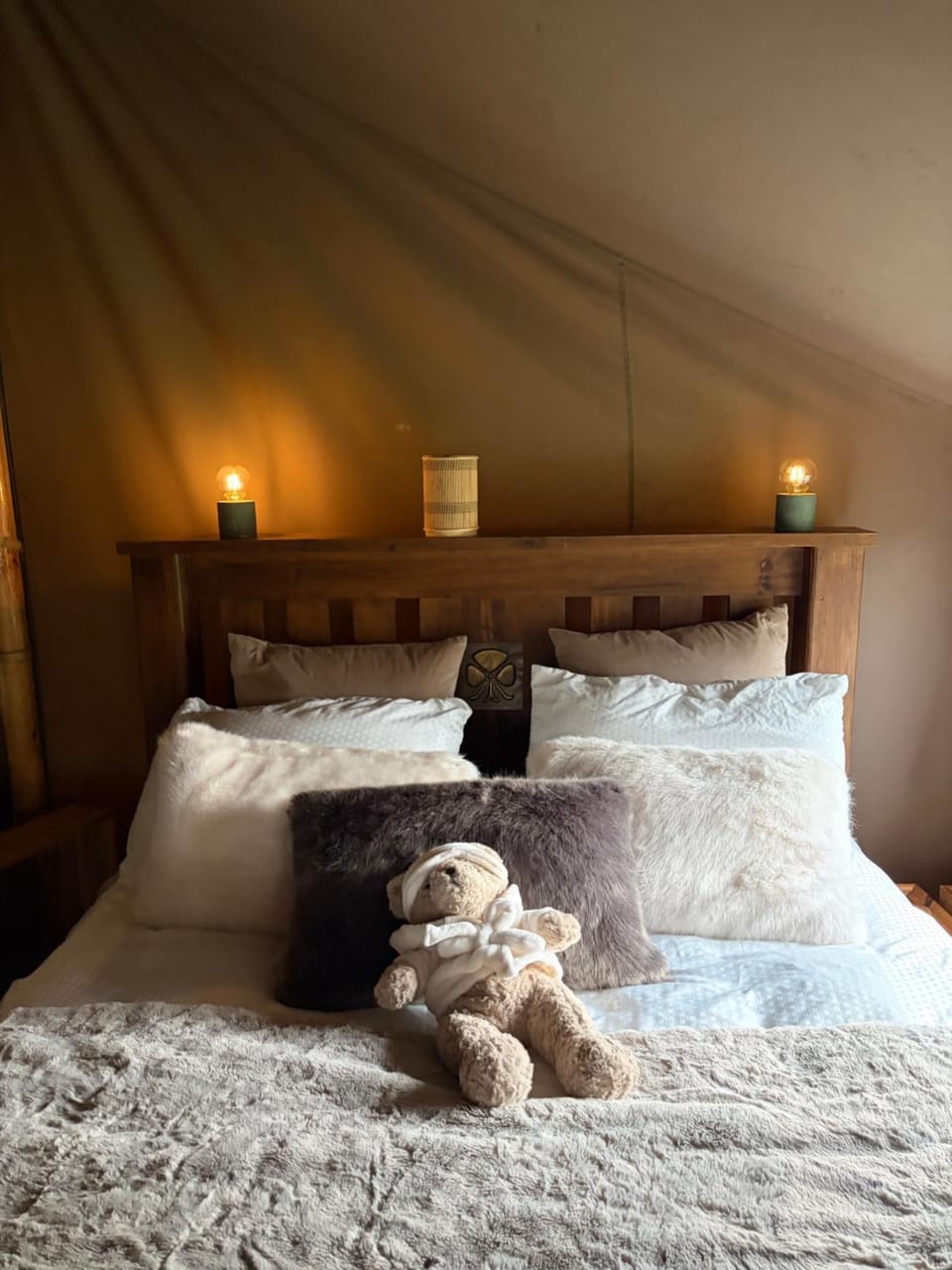 Luxury tree top glamping safari tent Luxury tent in County Kerry
