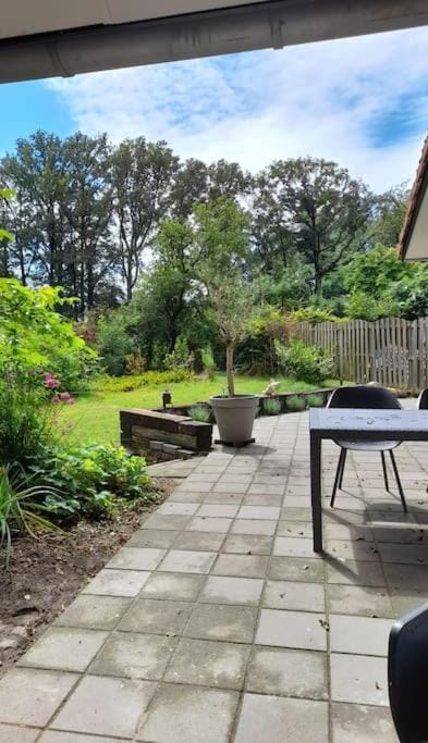 Garden, Balcony/Terrace