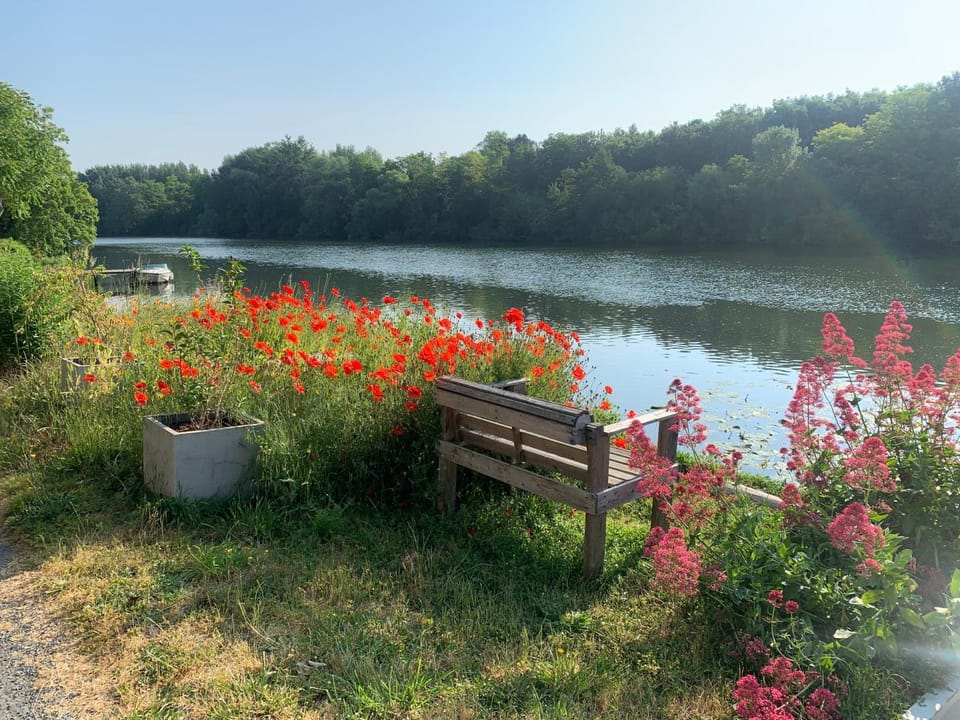 Spring, Garden, River view