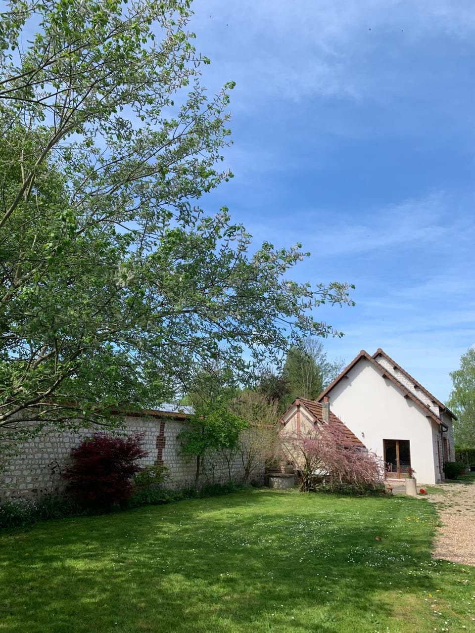 Property building, Spring, Garden, Garden view
