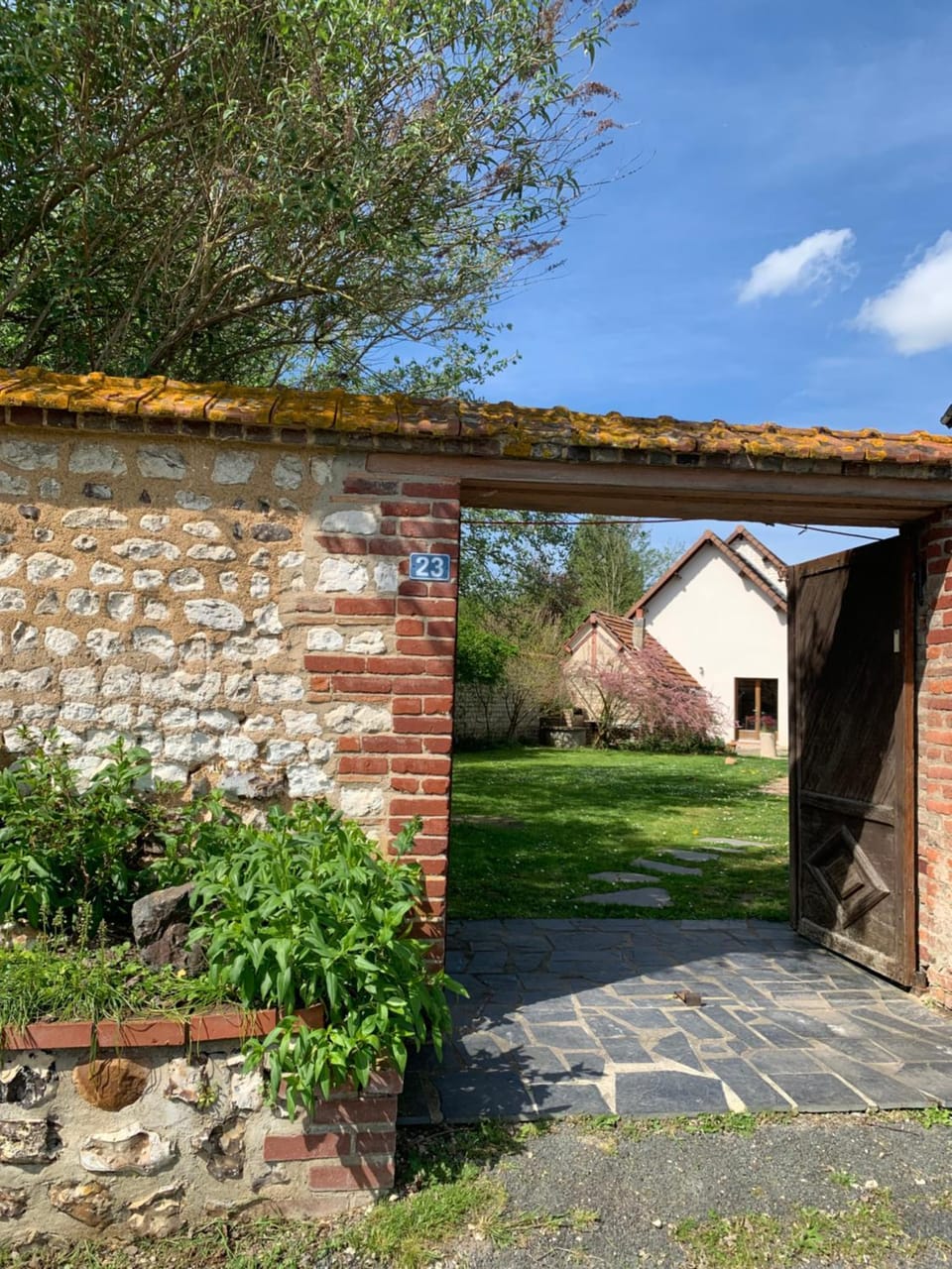 Property building, Garden view