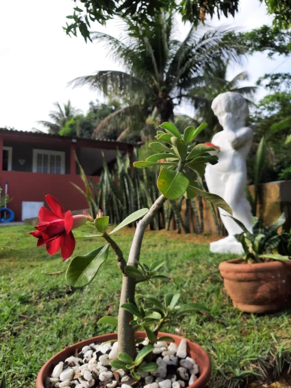Chácara da Madrinha House in State of Espírito Santo, Brazil