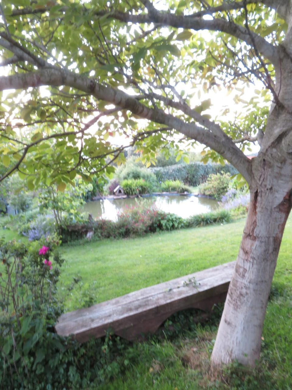 Garden view