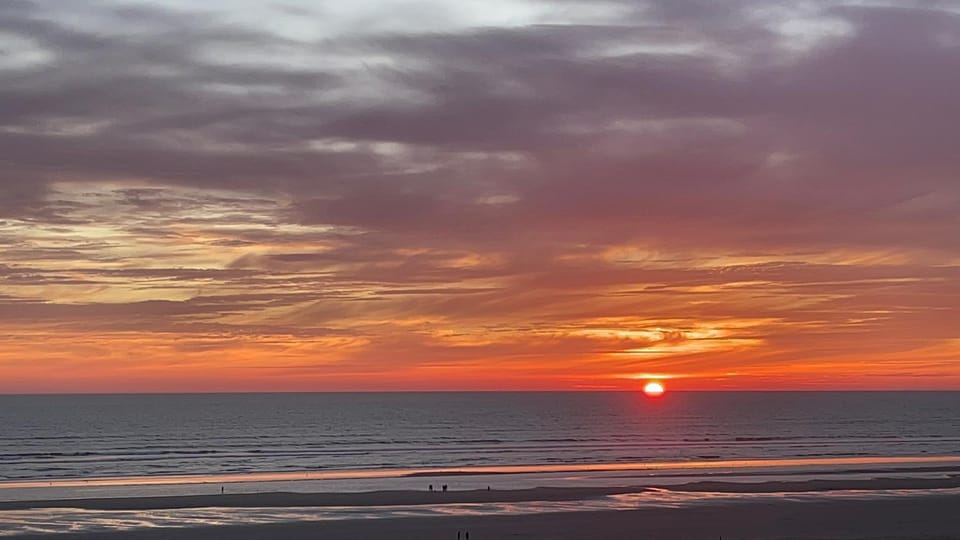 Natural landscape, Beach, Sunset