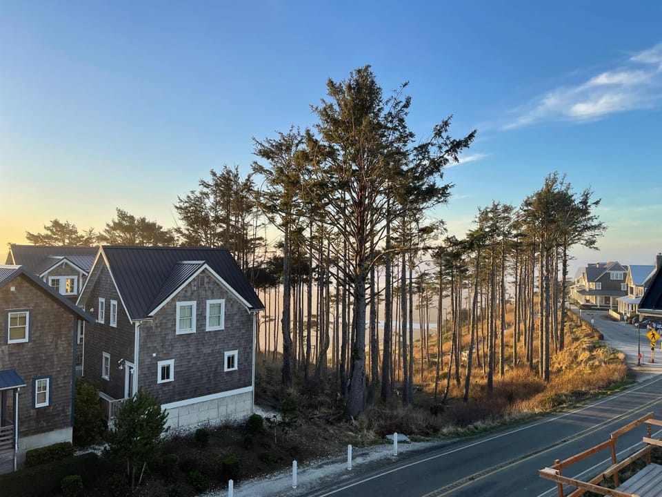 Natural landscape, View (from property/room)