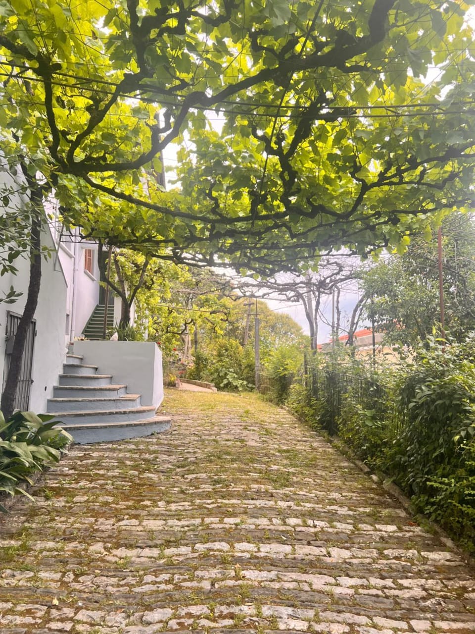 Thimjos & Ritas Guesthouse Villa in Vlorë County, Albania