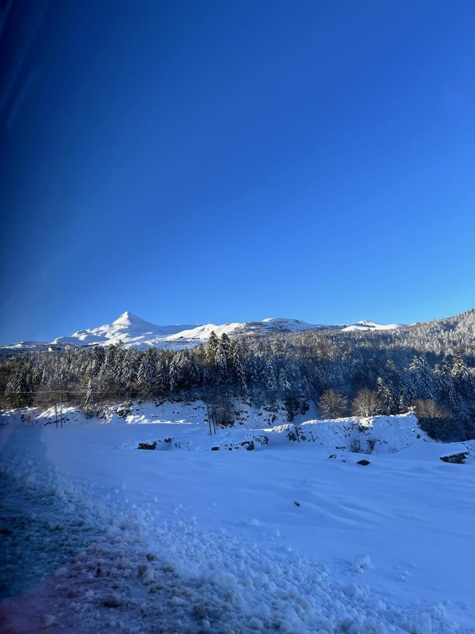 La Suite Unique - Le jardin sur les Pyrénées- vue panoramique montagne -jardin clôturé privé de 100m2-Parking-Linge de lit et serviettes compris- Apartment in Nouvelle-Aquitaine