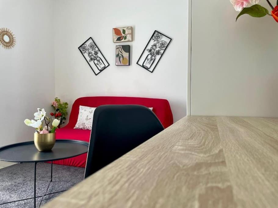 Cosy au Cœur de Dijon Apartment in Dijon