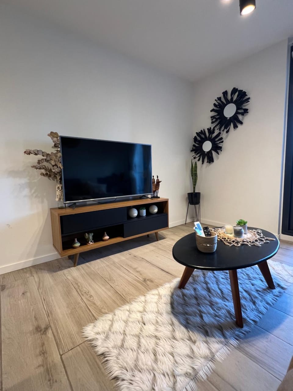 TV and multimedia