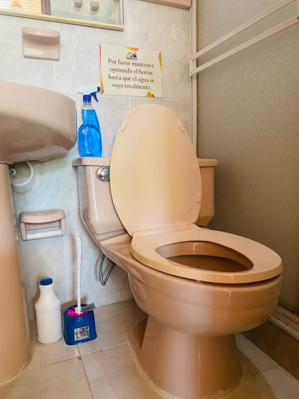 Toilet, Bathroom, bidet