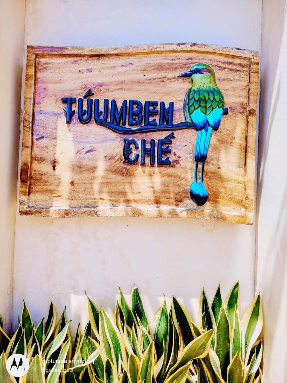 Logo/Certificate/Sign
