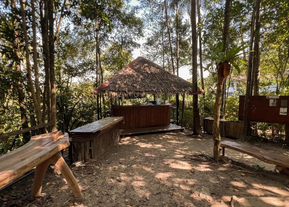 Natural landscape, Garden