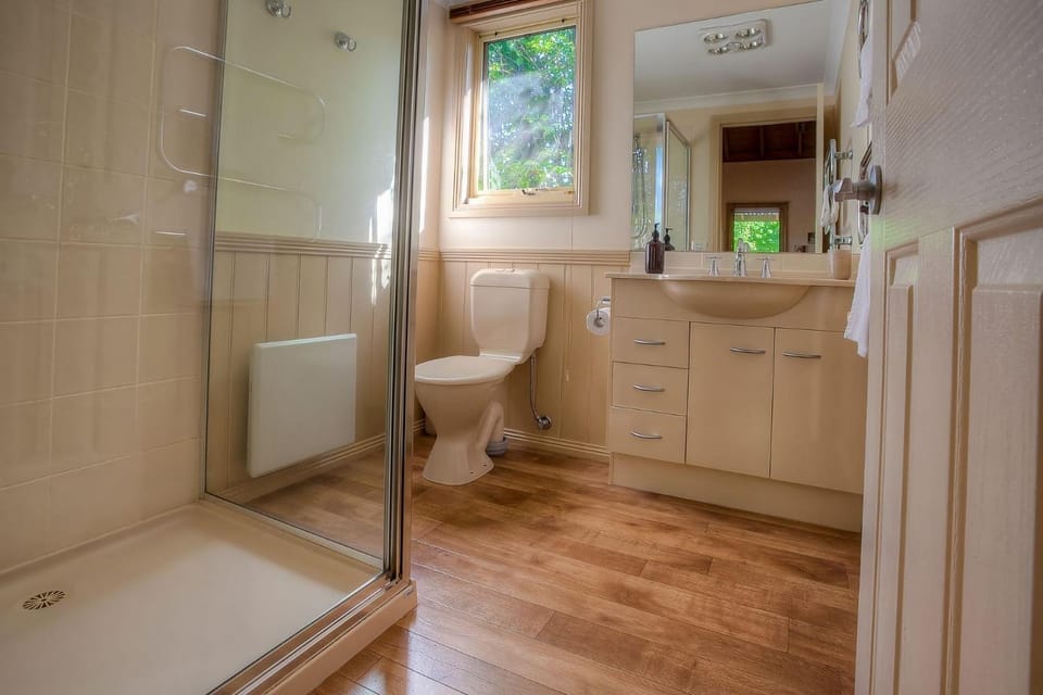 Shower, Toilet, Bathroom, Bath, towels