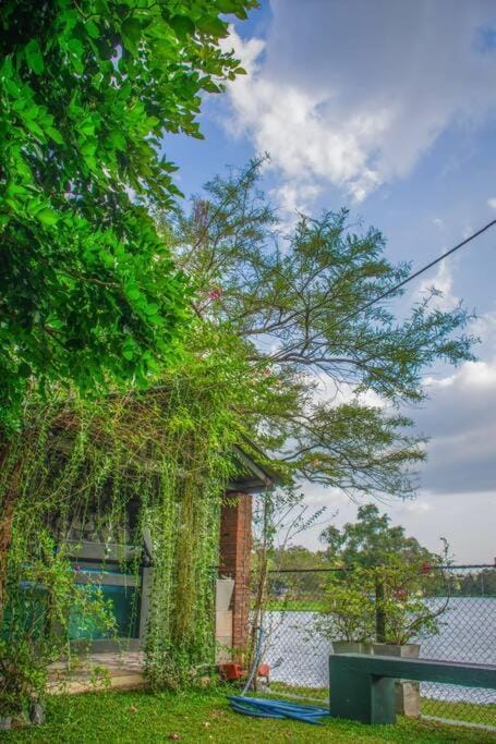 Garden, Garden, Lake view