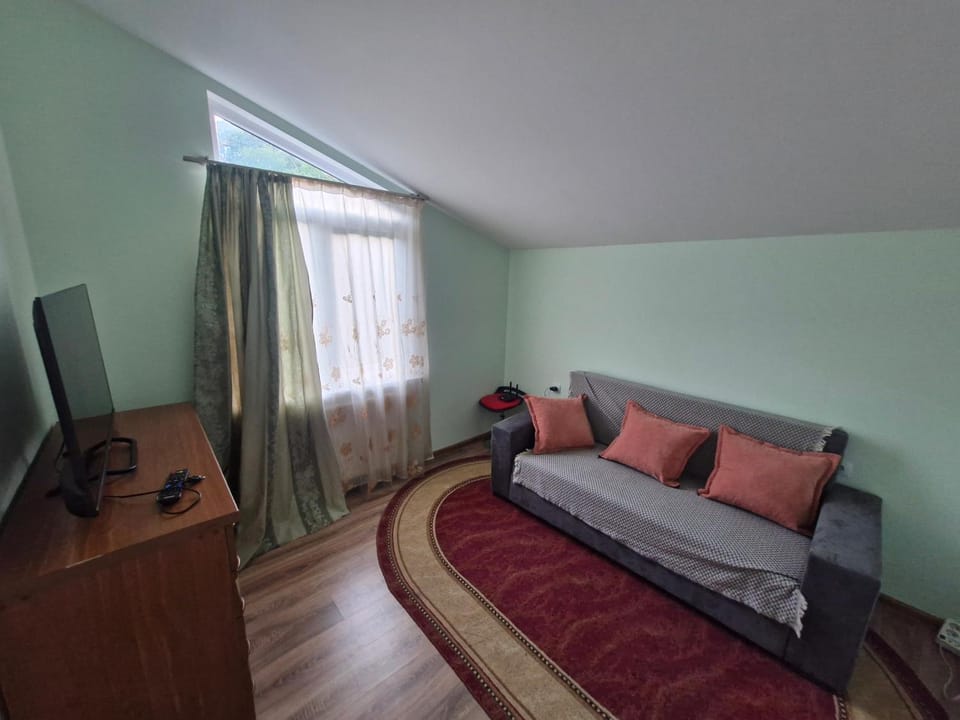 cozy house- Ananuri Veranda Bed and Breakfast in Georgia