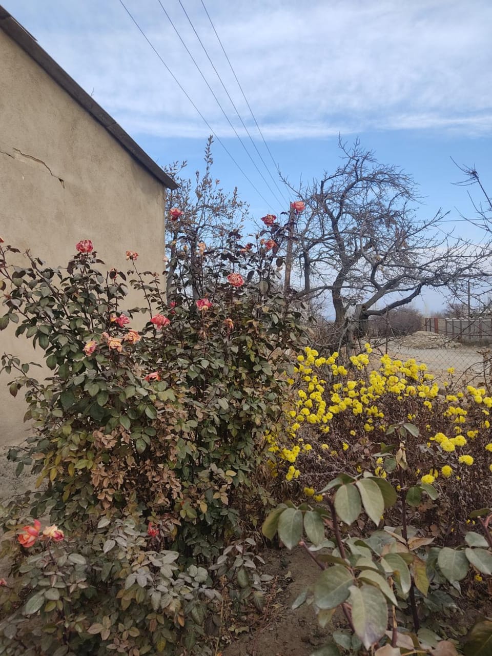 "Martin" guest house Bed and Breakfast in Almaty Region, Kazakhstan