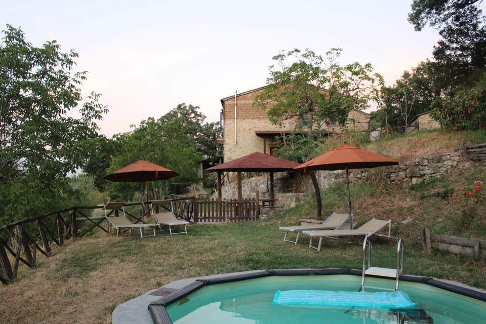 Patio, Spring, Day, Natural landscape, Garden, Garden view, Pool view, Swimming pool, sunbed