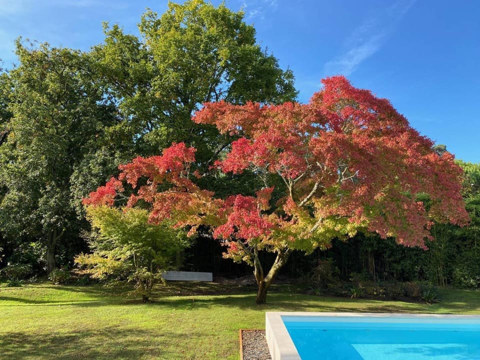 Villa BARADARENA avec piscine chauffée et jardin pour 10 personnes Villa in Hossegor